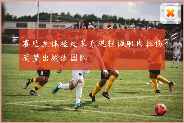 赛巴里体检结果乐观轻微肌肉拉伤有望出战法国队