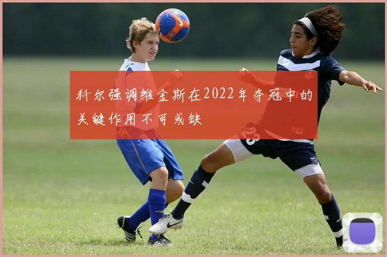 科尔强调维金斯在2022年夺冠中的关键作用不可或缺